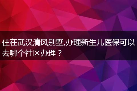 住在武汉清风别墅,办理新生儿医保可以去哪个社区办理？
