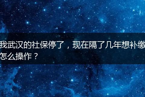 我武汉的社保停了，现在隔了几年想补缴怎么操作？