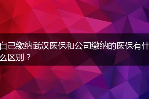 自己缴纳武汉医保和公司缴纳的医保有什么区别？