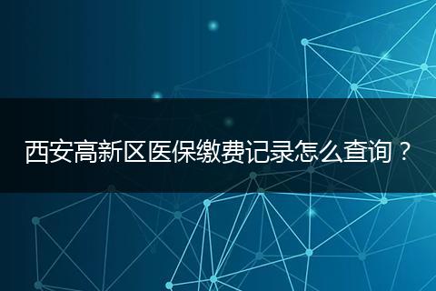 西安高新区医保缴费记录怎么查询？