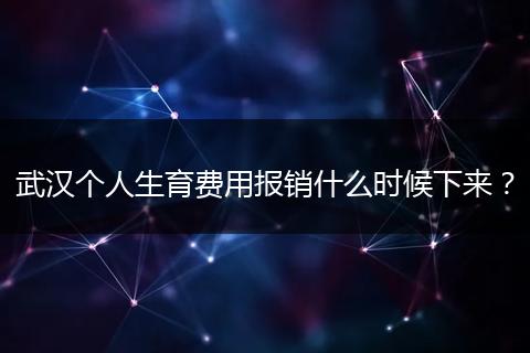 武汉个人生育费用报销什么时候下来？