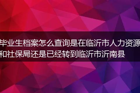 毕业生档案怎么查询是在临沂市人力资源和社保局还是已经转到临沂市沂南县