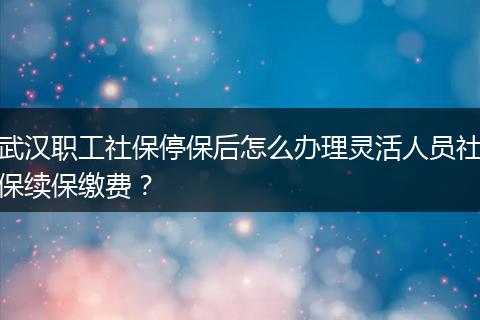 武汉职工社保停保后怎么办理灵活人员社保续保缴费？