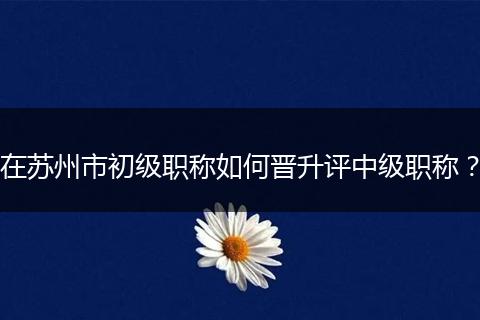 在苏州市初级职称如何晋升评中级职称？