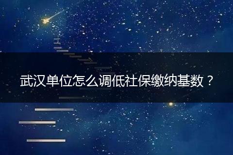 武汉单位怎么调低社保缴纳基数？