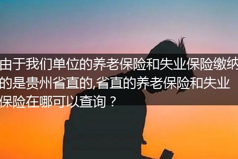 由于我们单位的养老保险和失业保险缴纳的是贵州省直的,省直的养老保险和失业保险在哪可以查询？