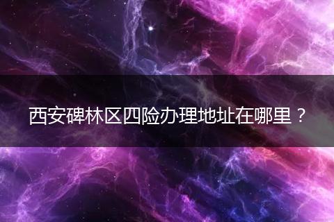 西安碑林区四险办理地址在哪里？