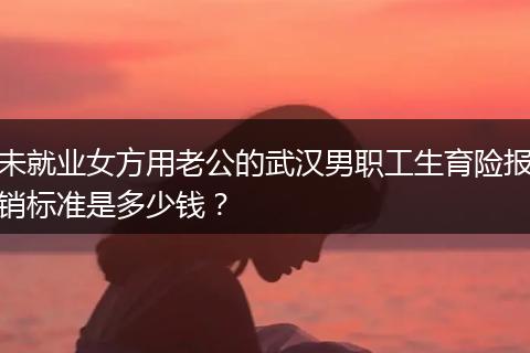 未就业女方用老公的武汉男职工生育险报销标准是多少钱？