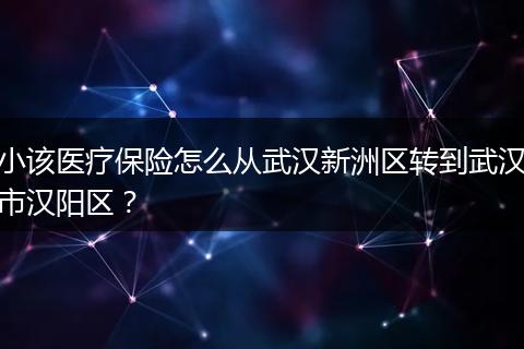 小该医疗保险怎么从武汉新洲区转到武汉市汉阳区？