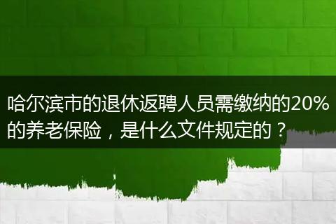 哈尔滨市的退休返聘人员需缴纳的20%的养老保险，是什么文件规定的？