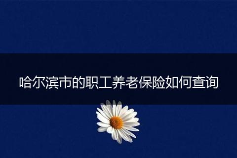 哈尔滨市的职工养老保险如何查询