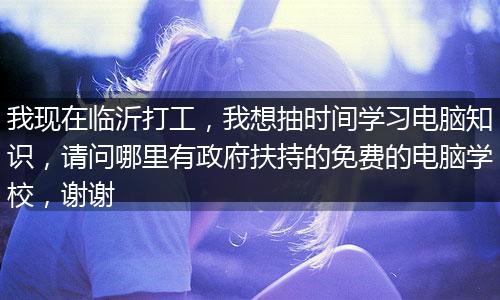 我现在临沂打工，我想抽时间学习电脑知识，请问哪里有政府扶持的免费的电脑学校，谢谢