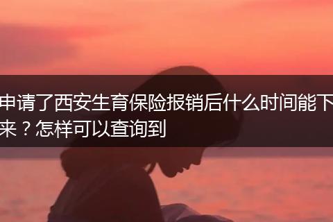 申请了西安生育保险报销后什么时间能下来？怎样可以查询到
