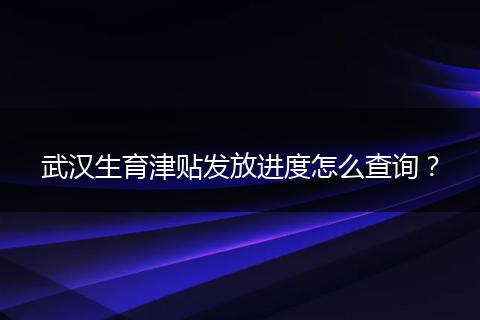 武汉生育津贴发放进度怎么查询？