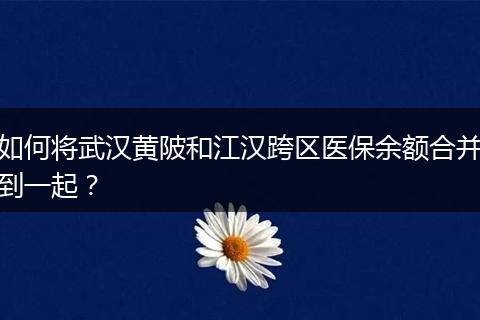 如何将武汉黄陂和江汉跨区医保余额合并到一起？