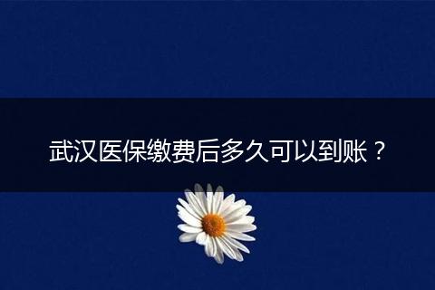 武汉医保缴费后多久可以到账？