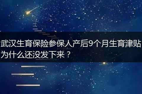 武汉生育保险参保人产后9个月生育津贴为什么还没发下来?