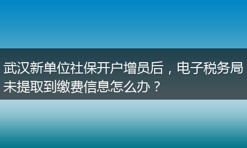武汉新单位社保开户增员后，电子税务局未提取到缴费信息怎么办？