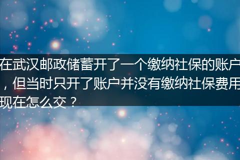 在武汉邮政储蓄开了一个缴纳社保的账户，但当时只开了账户并没有缴纳社保费用现在怎么交？