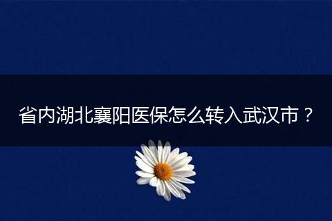 省内湖北襄阳医保怎么转入武汉市？