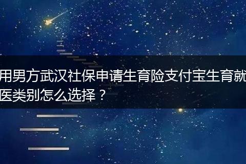 用男方武汉社保申请生育险支付宝生育就医类别怎么选择？