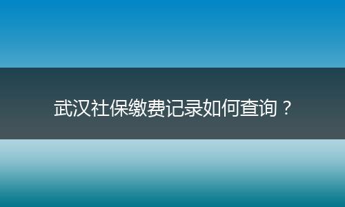 武汉社保缴费记录如何查询？