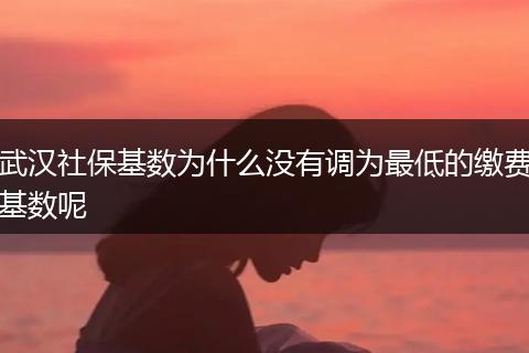 武汉社保基数为什么没有调为最低的缴费基数呢