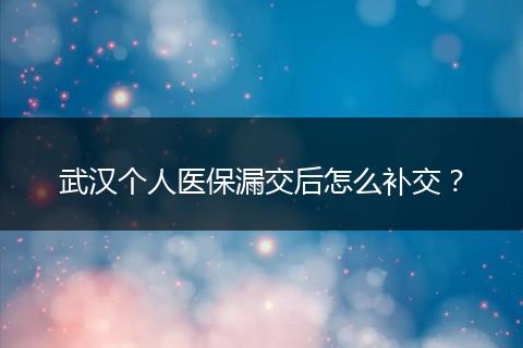武汉个人医保漏交后怎么补交?