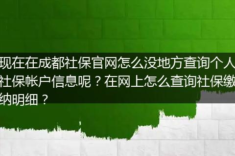现在在成都社保官网怎么没地方查询个人社保帐户信息呢？在网上怎么查询社保缴纳明细？