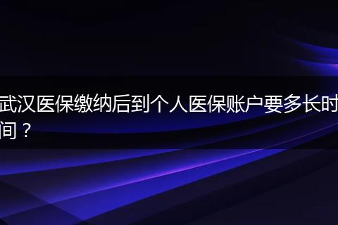 武汉医保缴纳后到个人医保账户要多长时间？