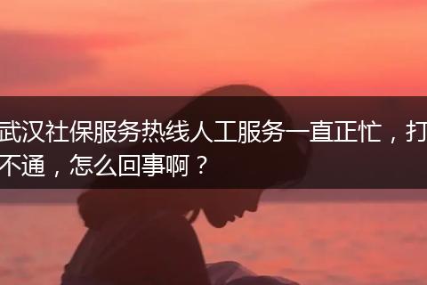 武汉社保服务热线人工服务一直正忙，打不通，怎么回事啊？