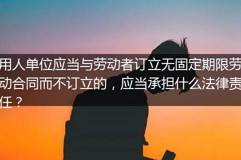 用人单位应当与劳动者订立无固定期限劳动合同而不订立的，应当承担什么法律责任？