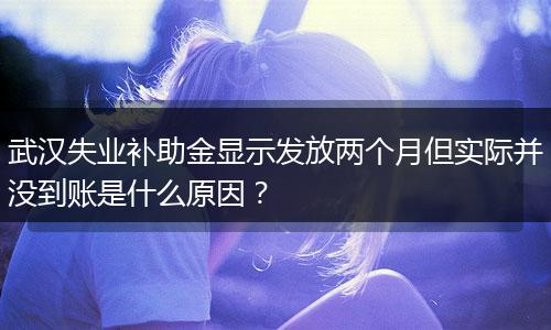 武汉失业补助金显示发放两个月但实际并没到账是什么原因？