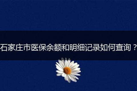 石家庄市医保余额和明细记录如何查询？