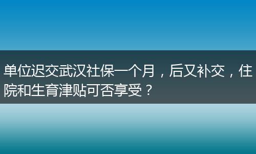 单位迟交武汉社保一个月，后又补交，住院和生育津贴可否享受？
