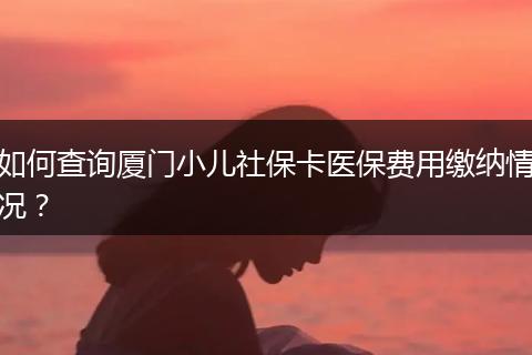 如何查询厦门小儿社保卡医保费用缴纳情况？