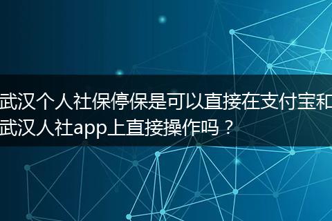 武汉个人社保停保是可以直接在支付宝和武汉人社app上直接操作吗？
