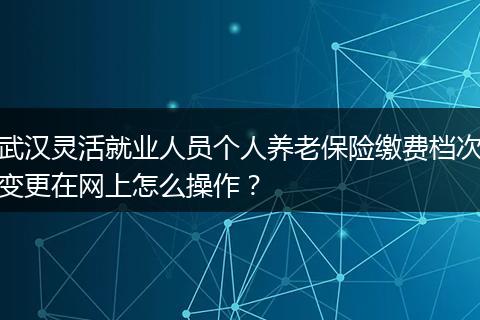 武汉灵活就业人员个人养老保险缴费档次变更在网上怎么操作？