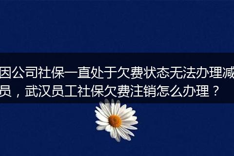 因公司社保一直处于欠费状态无法办理减员，武汉员工社保欠费注销怎么办理？