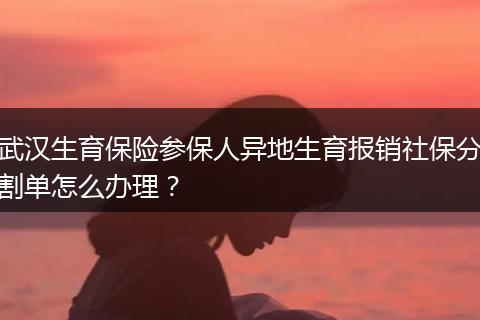 武汉生育保险参保人异地生育报销社保分割单怎么办理？