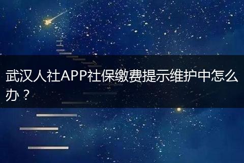 武汉人社APP社保缴费提示维护中怎么办？