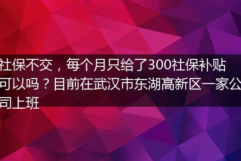 社保不交，每个月只给了300社保补贴可以吗？目前在武汉市东湖高新区一家公司上班
