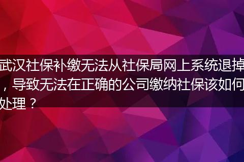 武汉社保补缴无法从社保局网上系统退掉，导致无法在正确的公司缴纳社保该如何处理？