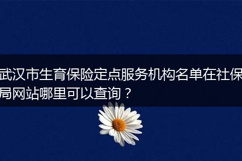 武汉市生育保险定点服务机构名单在社保局网站哪里可以查询？