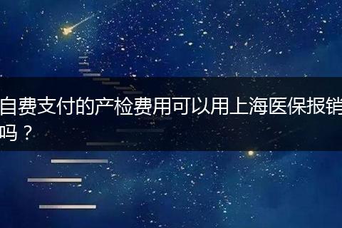 自费支付的产检费用可以用上海医保报销吗？