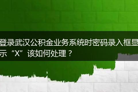 登录武汉公积金业务系统时密码录入框显示“X”该如何处理？