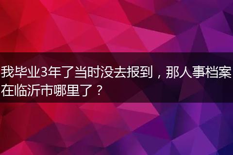 我毕业3年了当时没去报到，那人事档案在临沂市哪里了？