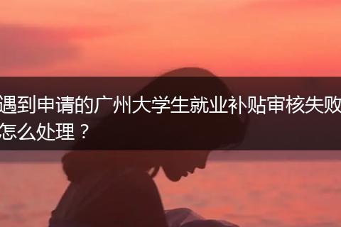 遇到申请的广州大学生就业补贴审核失败怎么处理？