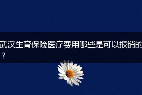 武汉生育保险医疗费用哪些是可以报销的?