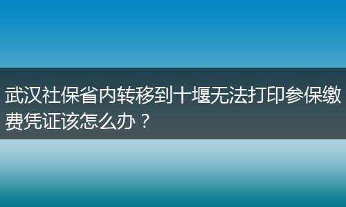 武汉社保省内转移到十堰无法打印参保缴费凭证该怎么办？